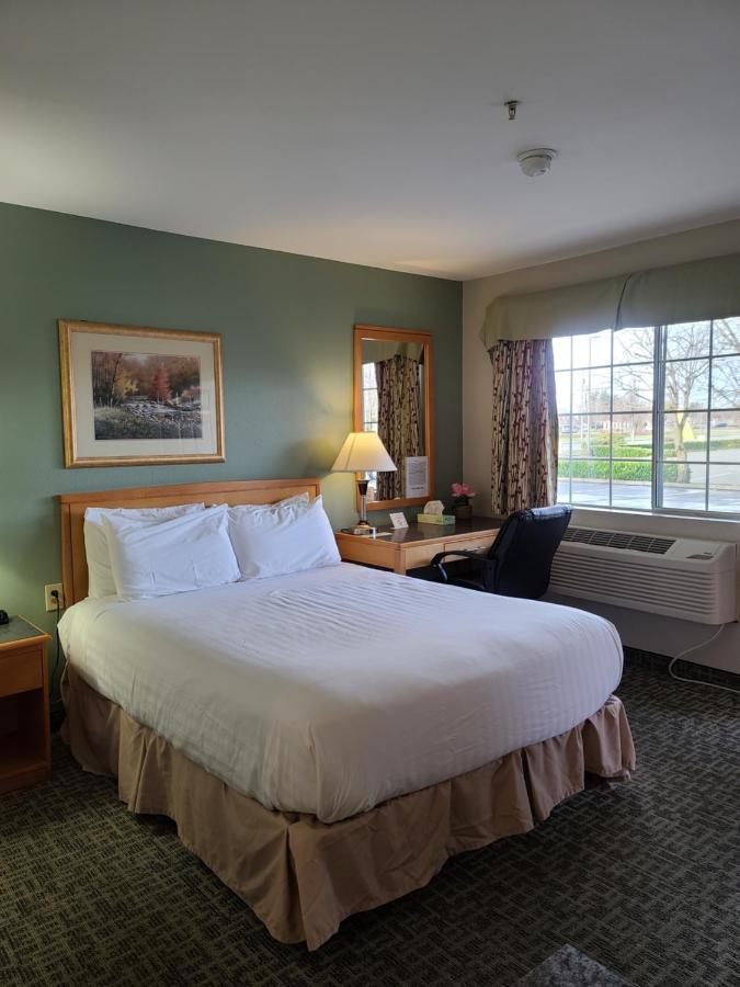 Motel Tulip Mount Vernon
